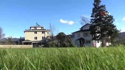 Şiddetli Rüzgarla Yıkılan Ağaç Mahalle Yolunu Kapattı