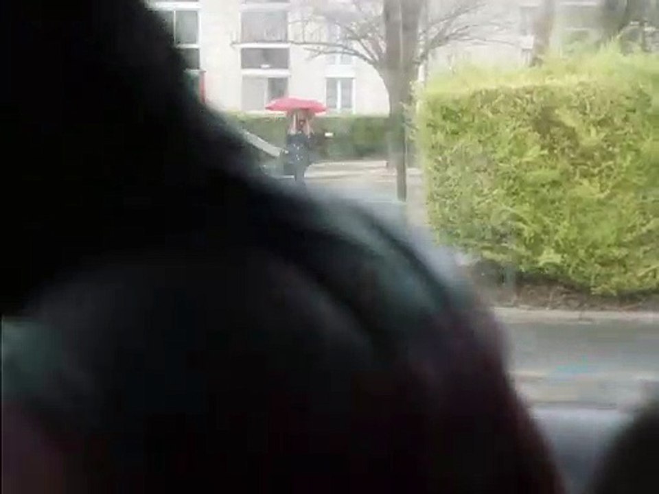 Flowers / Des fleurs (2018) - Trailer