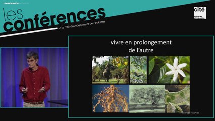 Les plantes ou l'apprentissage sensible du monde