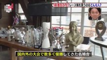 １羽 数百万円！？レース鳩を買うのはどんな人？