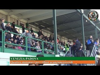TG VENEZIA FC - Edizione di giovedì 24 novembre 2016