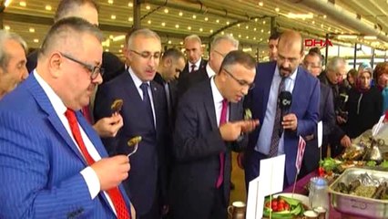 Rize Şehit Verdi, Saldırı Öncesi Hamsi Festivali'ne Katıldı-2