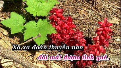 [Karaoke] Câu Hò Bên Bến Hiền Lương - Anh Thơ [Beat]