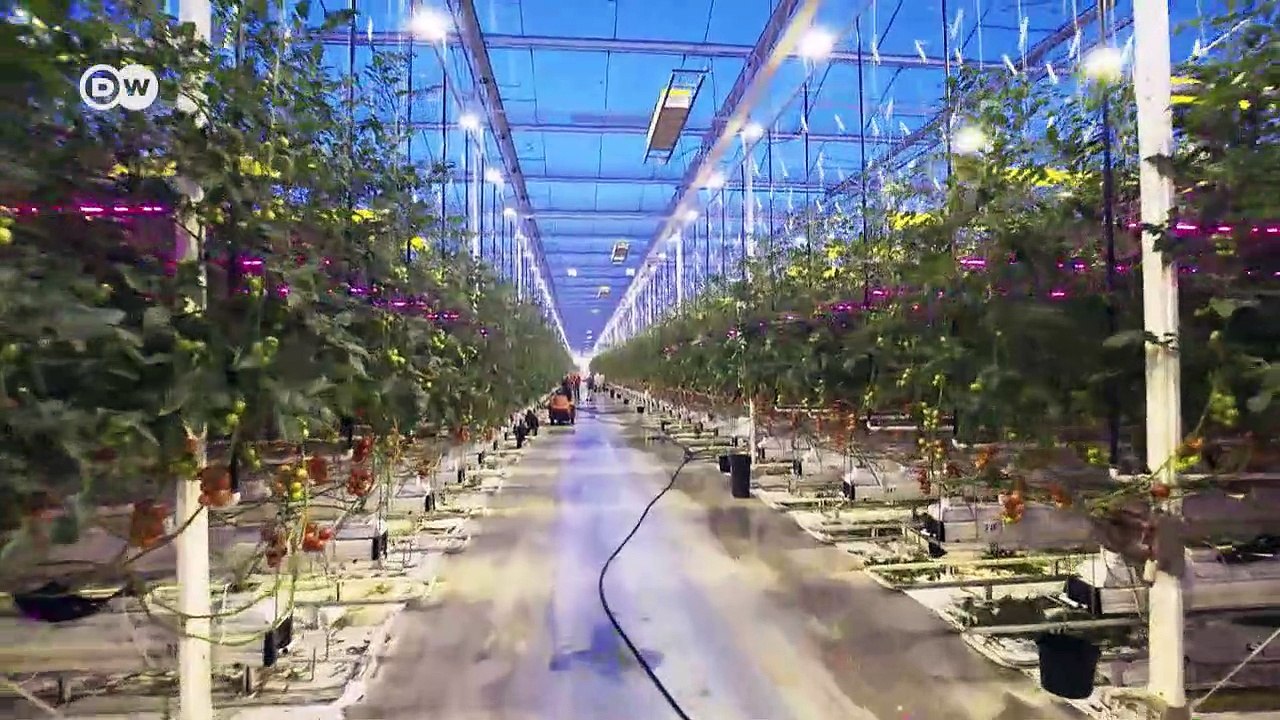 Erntewunder dank LED | Made in Germany