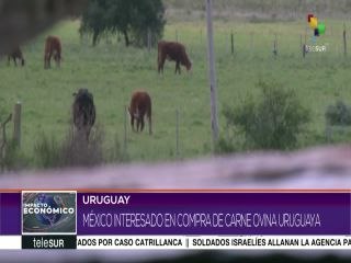 México estaría interesado en comprar carne ovina uruguaya