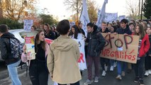 Les lycéens de Jean Guéhenno en grève
