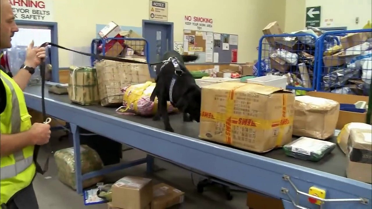 Nothing To Declare NZ S05E11