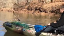 Fishermen Rescue Cornered Deer In Creek