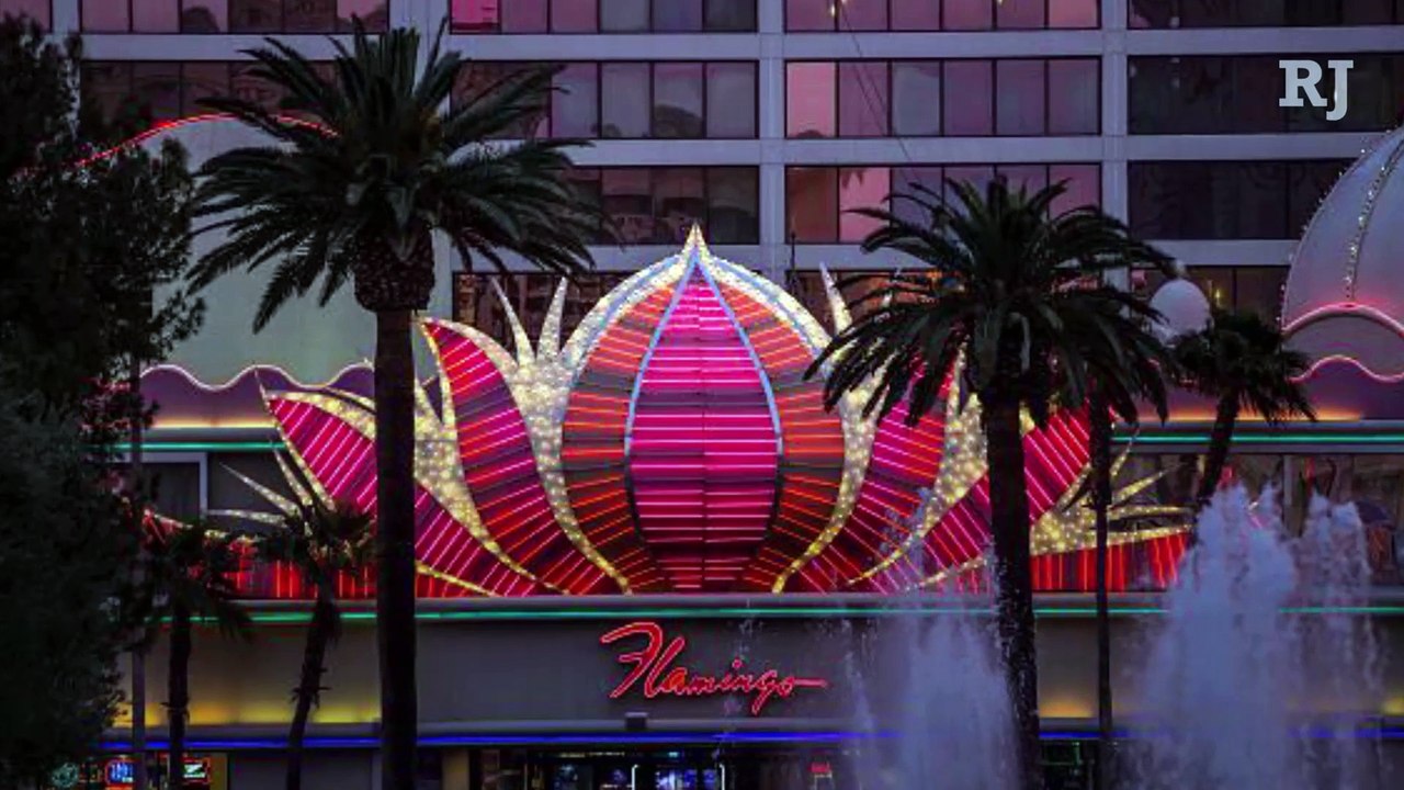 Bunk bed suites at Flamingo Las Vegas video Dailymotion