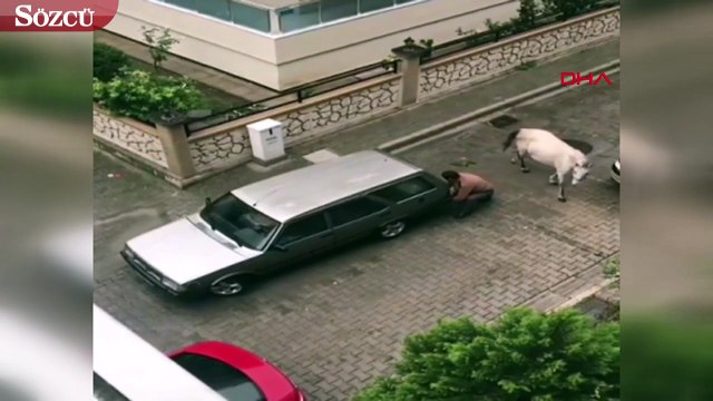 Otomobilinin arkasına iple bağladığı atı sürükledi