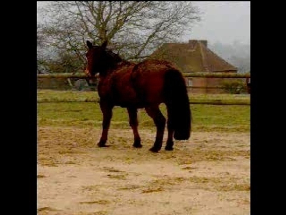 Gypsy recule toute seule