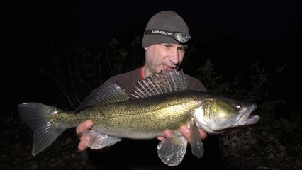 Zander Fishing The Warwickshire Avon - 29/9/18 (Video 88)