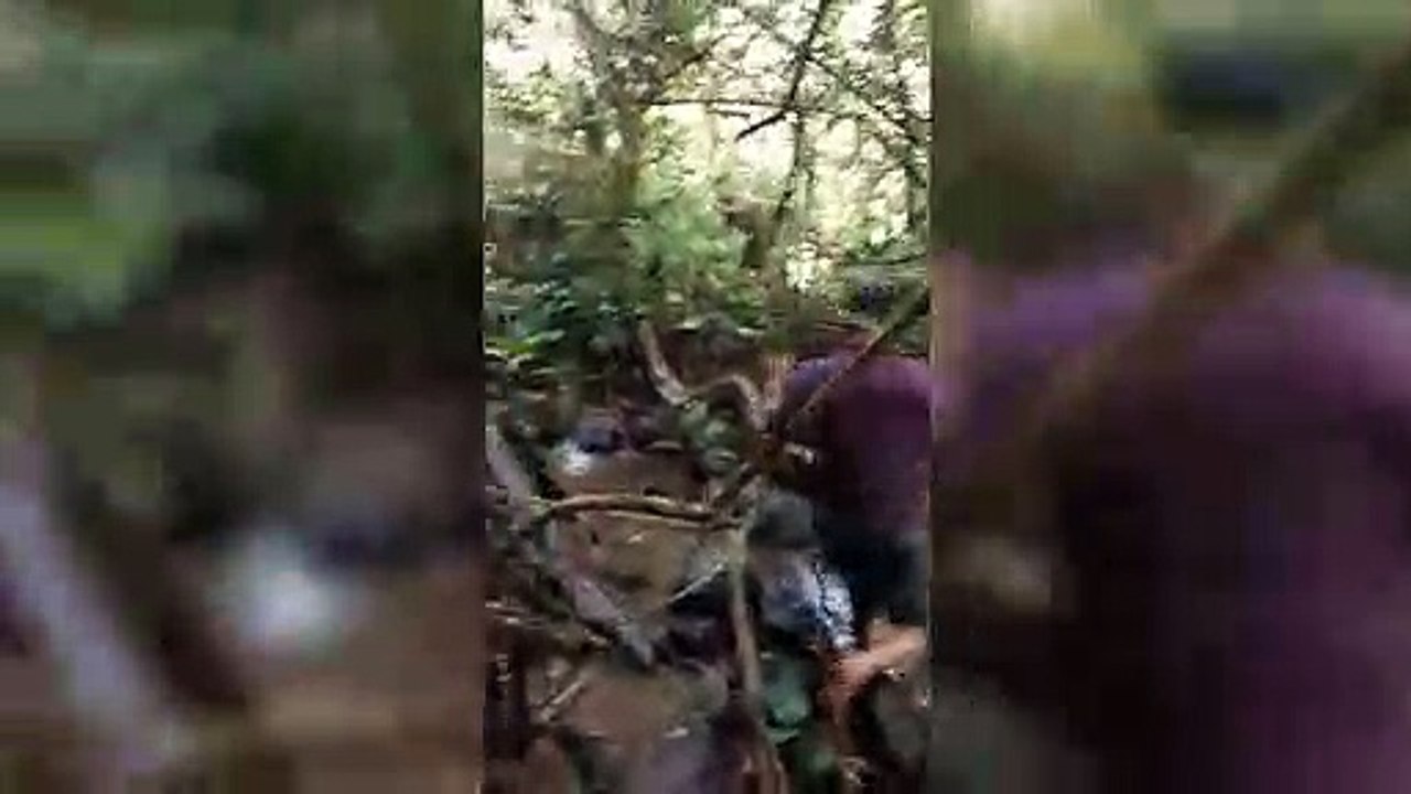 Um abraço quase mortal