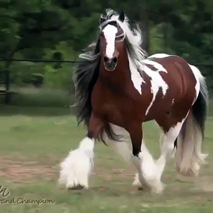 Mashallah