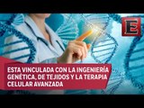 Punto y coma: Medicina regenerativa