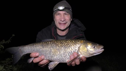A Few Evening Hours Feeder Fishing On The Warwickshire Avon - 12 /10/18 (Video 89)