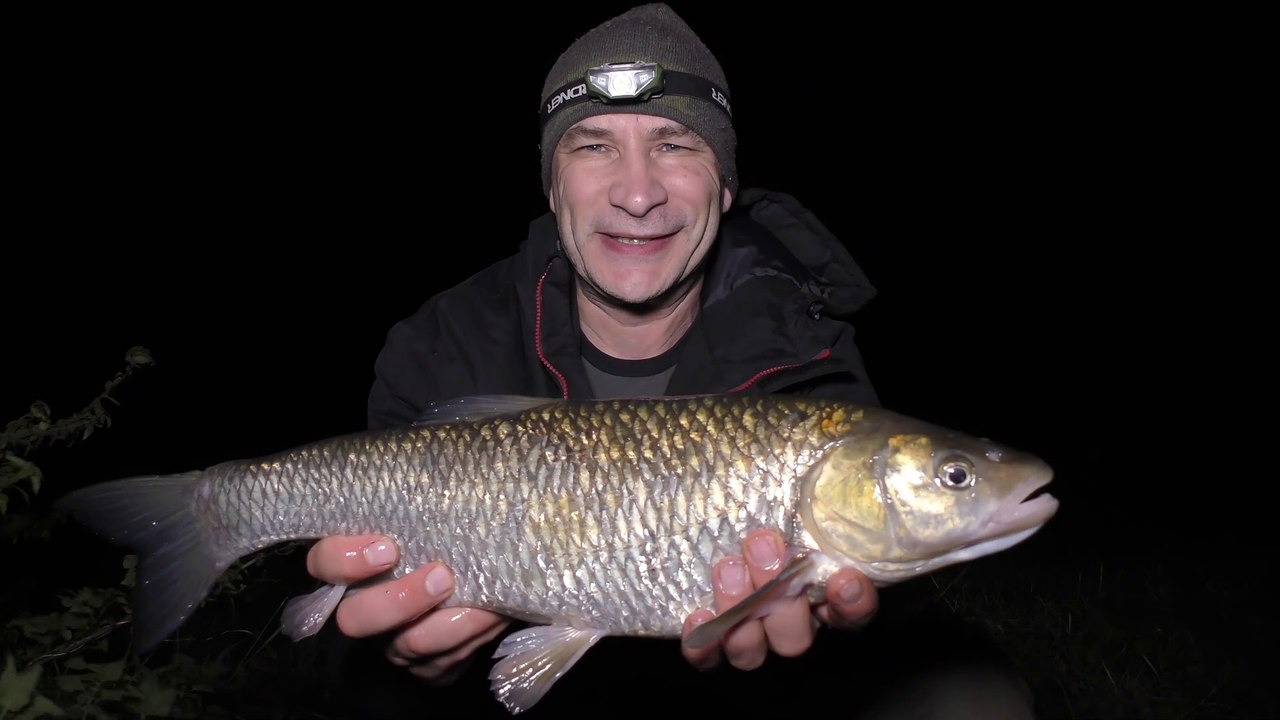 A Few Evening Hours Feeder Fishing On The Warwickshire Avon - 12 /10/18 (Video 89)