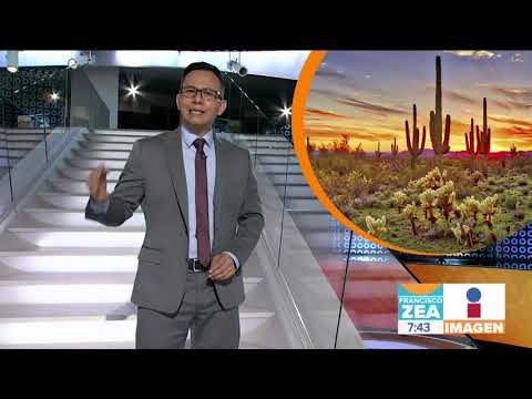 Señor presidente López Obrador, esto es lo que queremos | Noticias con Zea