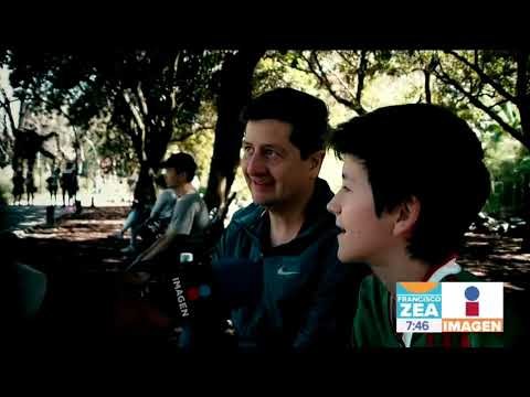 PIÑATAS Y FLORES: Piñatas artísticas en el Bosque de Chapultepec | Noticias con Zea