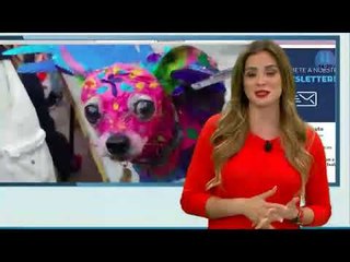 Heraldo noticias. Lo mejor de la información.