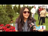 Flores de Nochebuena en Michoacán, las más hermosas y vendidas | Noticias con Zea