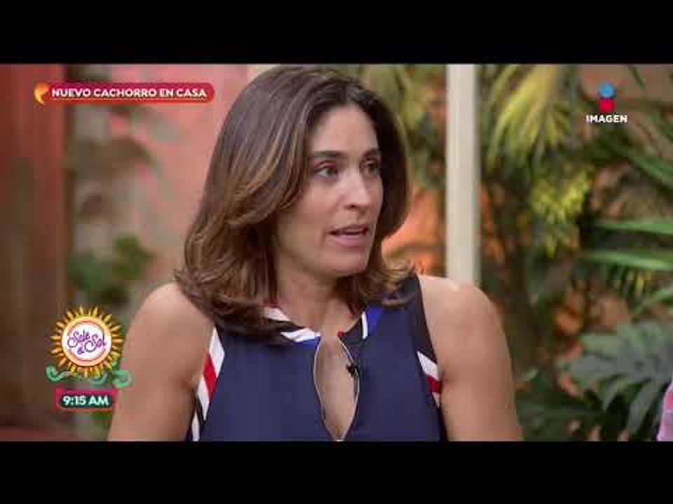 Los mejores tips para cuando un cachorro llega a casa | Sale el Sol