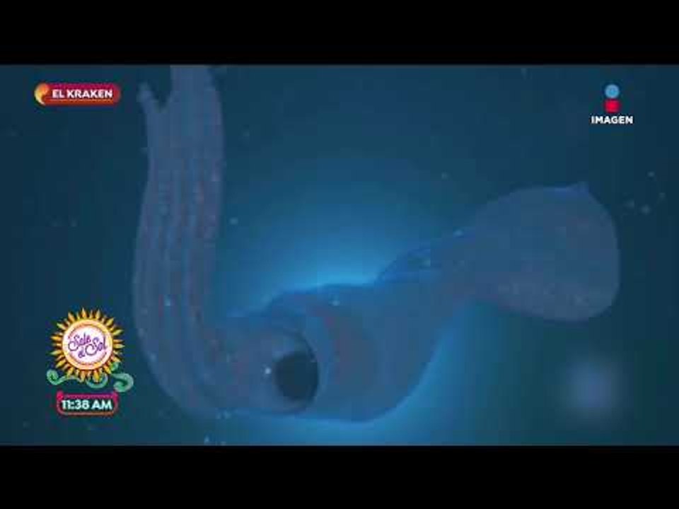 ¿El Kraken es mito o una realidad? | Sale el Sol