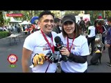 Dog running: la carrera de perros con causa | Sale el Sol