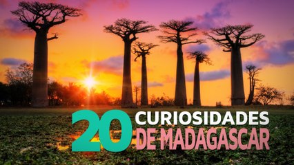 20 Curiosidades de Madagascar | El país de las especies únicas 