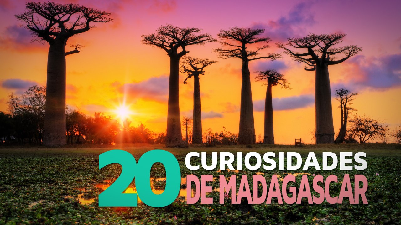 20 Curiosidades de Madagascar | El país de las especies únicas 