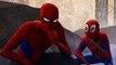 How 'Spider-Verse' Will Launch a Universe of Spider-Man Characters | Heat Vision Breakdown