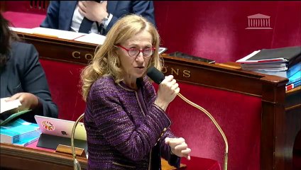 3ème séance : Loi de programmation 2018-2022 et de réforme pour la Justice (suite) ; Renforcement organisation des juridictions - Mardi 11 décembre 2018