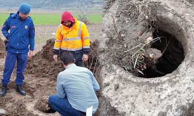 Yol çalışması sırasında bulundu