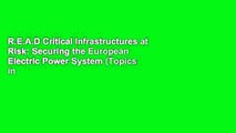 R.E.A.D Critical Infrastructures at Risk: Securing the European Electric Power System (Topics in