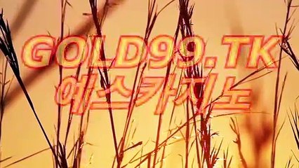 생중계카지노경찰つ／／ MW381。CoM ／／へ예스카지노주소