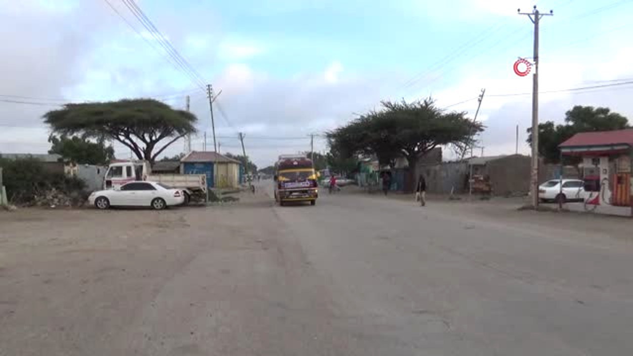 Somali'nin Yeşil Zehri: Gat- Neredeyse Tüm Ülke Bu Ota Bağımlı Yaşıyor- Yoksulluk ve İç Savaşla...