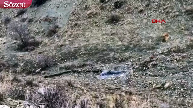 Başkale'de menfeze tuzaklanan patlayıcı imha edildi