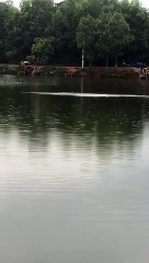 Câu lục xa bờ ở miền bắc toàn dính cá to