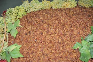 Türkiye ve Venezuella Cumhurbaşkanlarının Siyasi Dostluğu İhracatta Rekor Getirdi