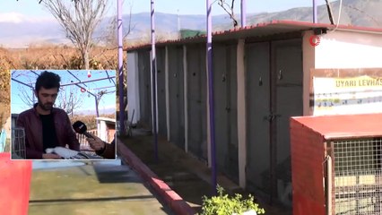 Bu Yumurtanın Tanesi 40 TL