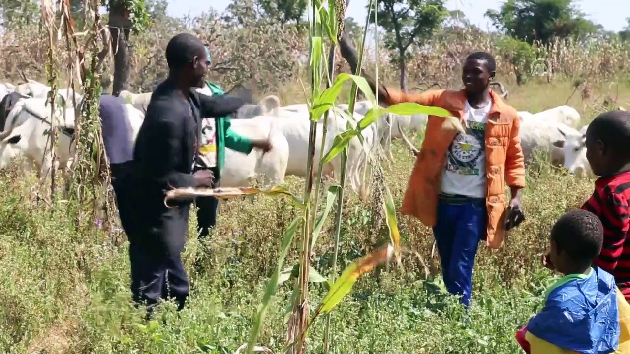 Afrika'nın en büyük yarı göçebe kabilesi: Fulaniler - ABUJA