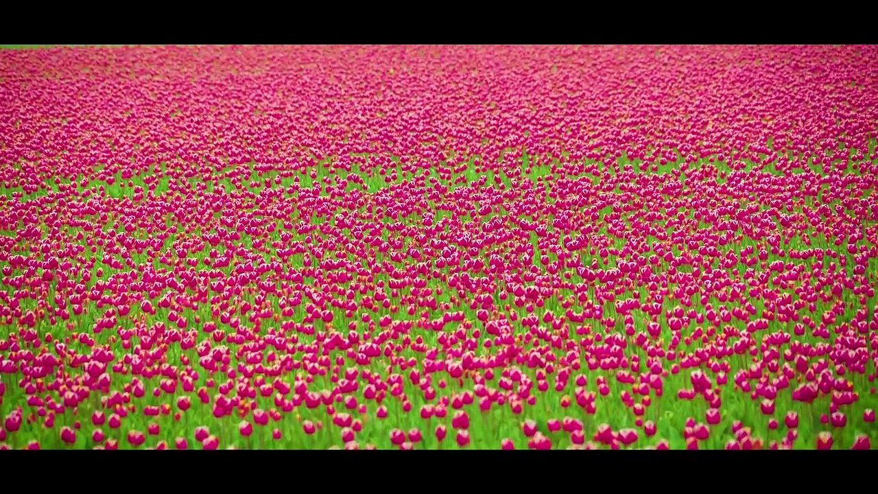 Arturia announces Pigments (1080p)