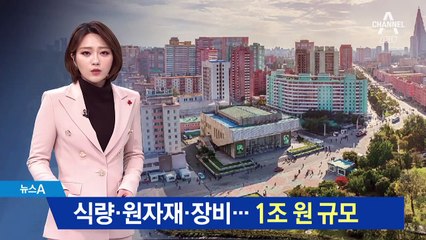 식량·원자재·장비…대북 차관 ‘1조 원’ 규모