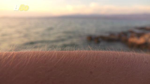 Study Suggests Goosebumps May be the Key to Curing Baldness