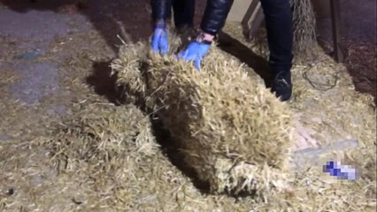 İstanbul'da Dev Asayiş Operasyonu