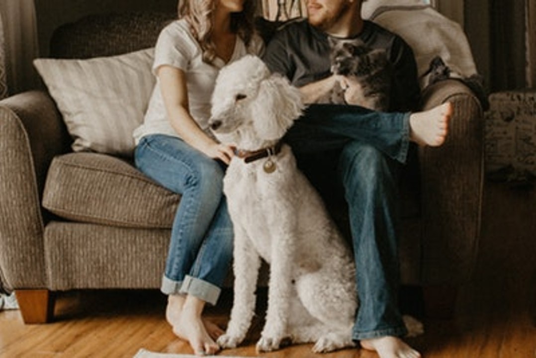 Top 10 pets that live the longest