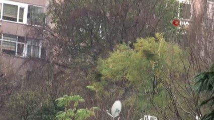 İstanbul'da Yoğun Kar Yağışı Sürüyor