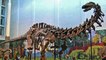 Top 10 Misterios Sobre Dinosaurios Que No Se Han Resuelto