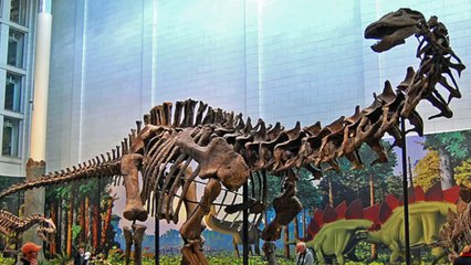 Top 10 Misterios Sobre Dinosaurios Que No Se Han Resuelto