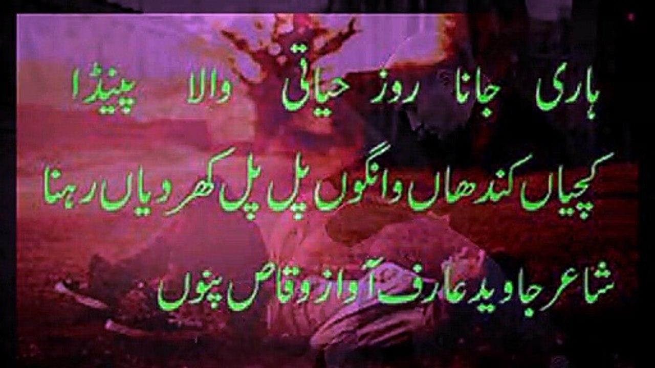 hari jana hayati punjabi sad poetry barb-e-dill judie shayari vioce waqas pannu